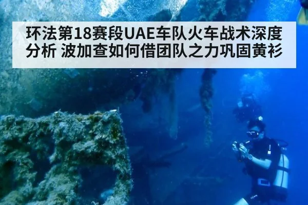环法第18赛段UAE车队火车战术深度分析 波加查如何借团队之力巩固黄衫