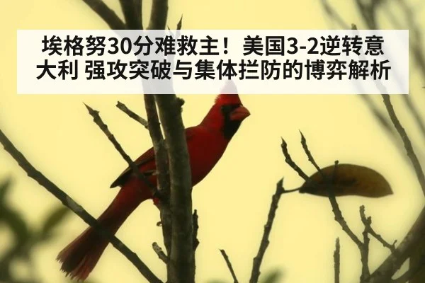 埃格努30分难救主！美国3-2逆转意大利 强攻突破与集体拦防的博弈解析